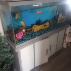 48 Inch Fish Tank And Stand