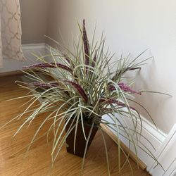 Decoration