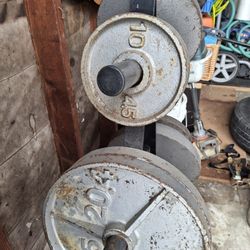 Weights For Gym
