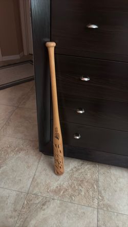 Devil Rays  Baseball Bat