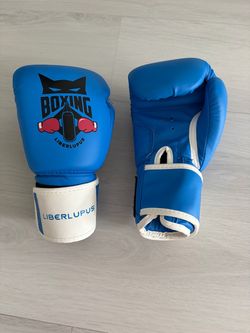 NEW Kids Boxing Gloves 8 oz