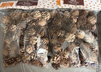 2 Bags Crafting Christmas Tree Pine Cones Pinecones 