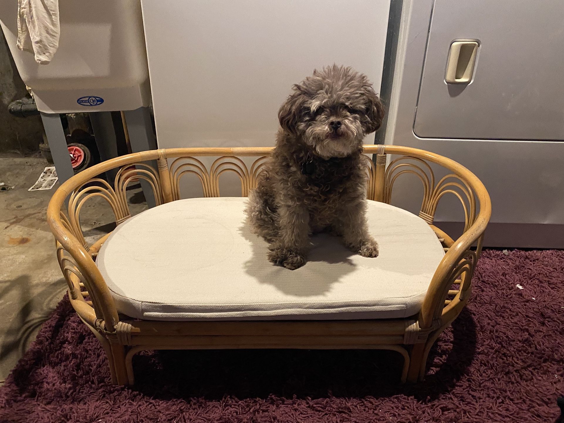 Rattan Deco Dog Bed