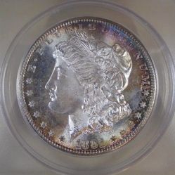 1881 S Morgan Dollar Toned