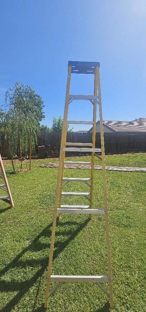 7ft Werner Ladder