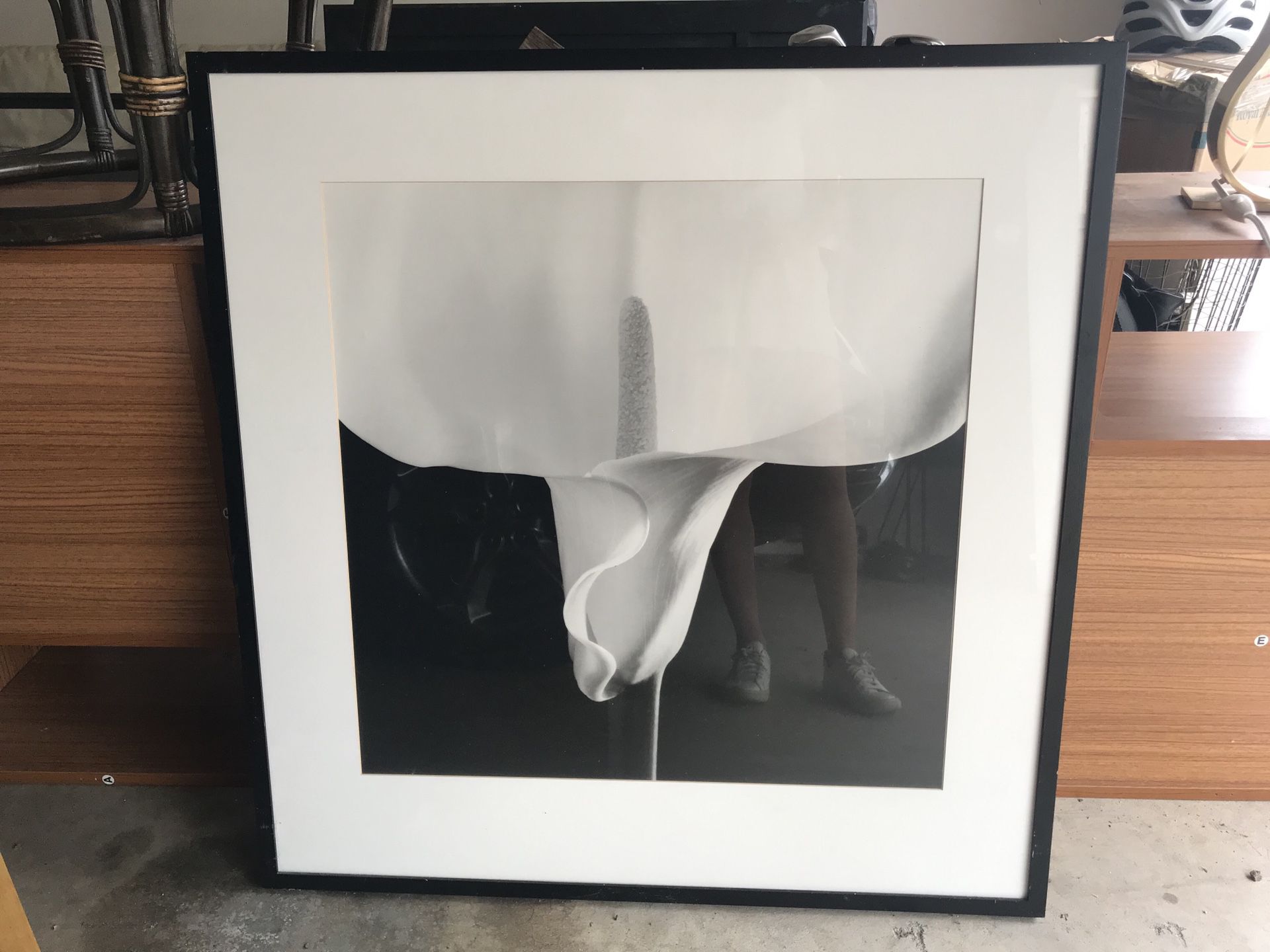 White Flower Framed Photograph