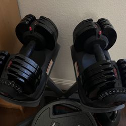 Merax 71.5lb adjustable dumbbell set with stand