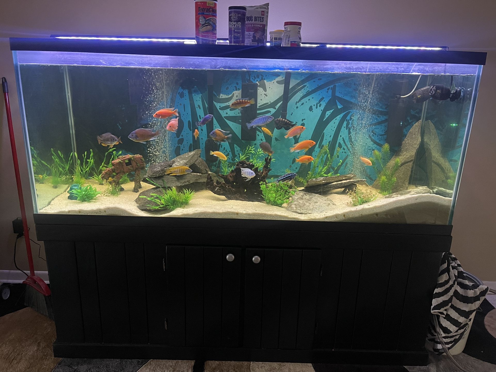 Fish Tank 250gal