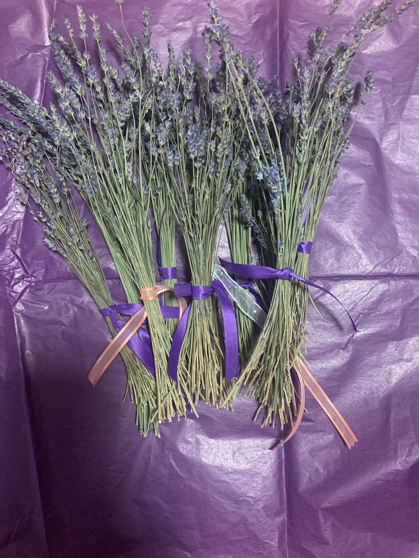 Fragrant Dried Lavender