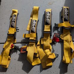 PRP 4 Point Harnesses - Pair