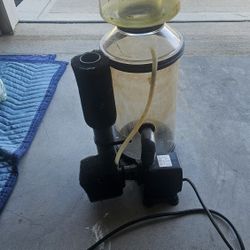 Large Protein Skimmer