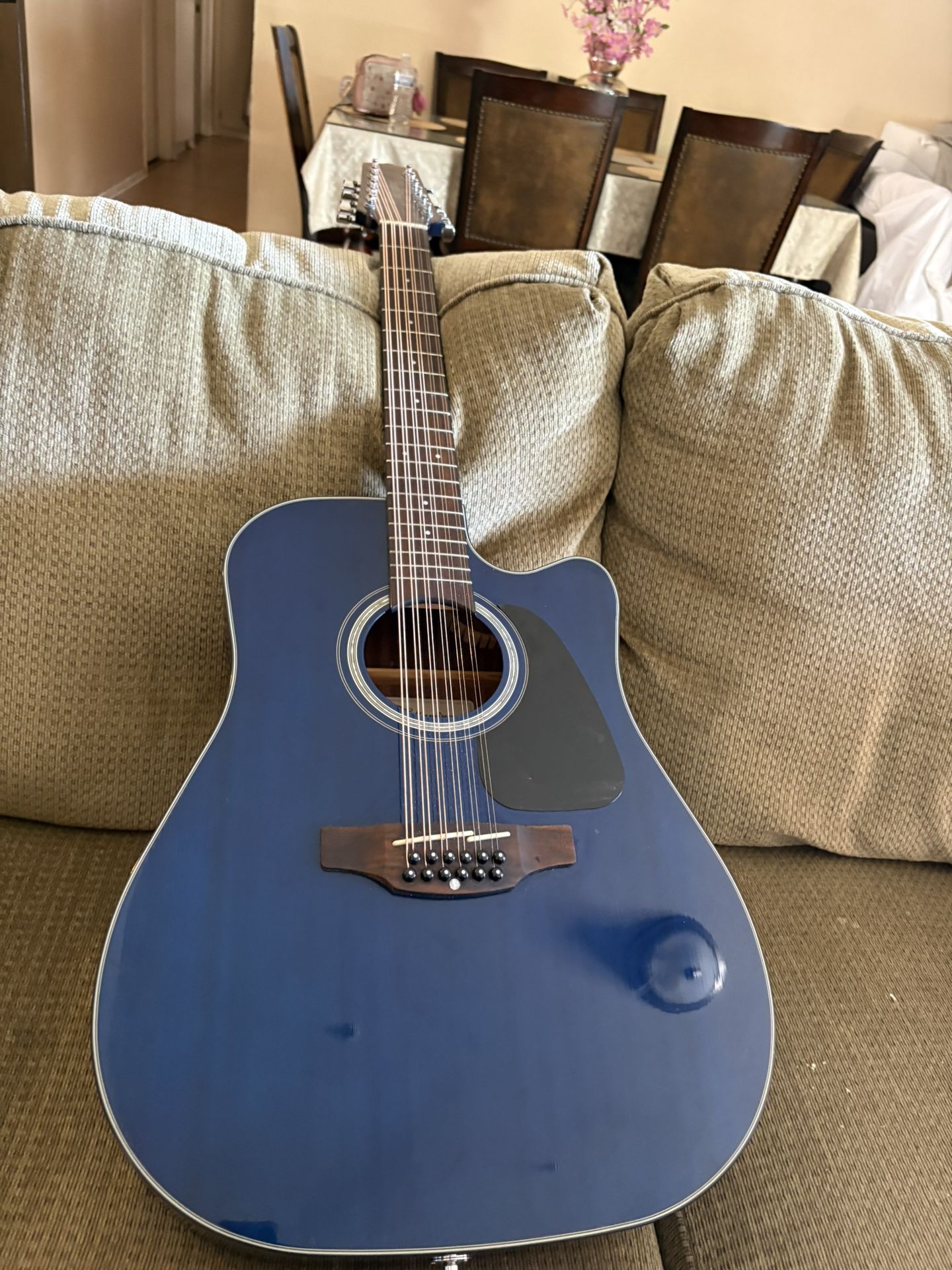takamine g series