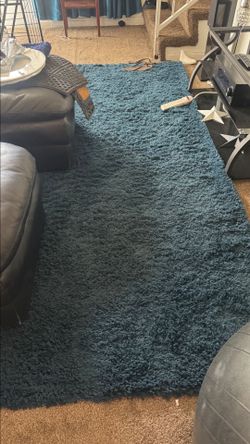 Sapphire Blue Shag Area Rug 1month old