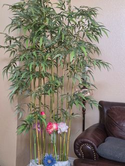 Large Artificial Bamboo Tree. 6 feet tall.
