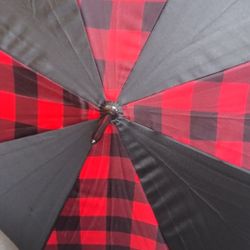 A,UMBRELLA BRAND NEW