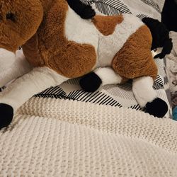 Sleepers And Stuffed Animal Horse 