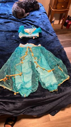 Jasmine costume
