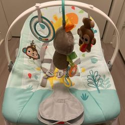 Baby Bouncer 