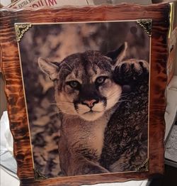 Rustic mountain lion/cougar wall decor. Beautiful wooden frame