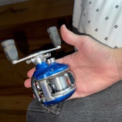 Daiwa Viento Bait Caster