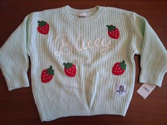 Bluey 4T Green Knit Pullover Sweater Crew Neck Long Sleeve Strawberry Graphic