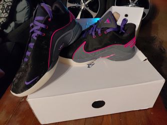 LeBron xxii