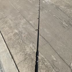 Used Spinning Rod