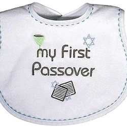 Passover, Baby Bibs, Judaica NEW Baby bib