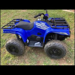 PENDING!! 24volt Yamaha Grizzly