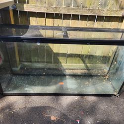 60 Gallon Tank