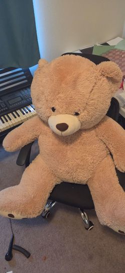 Teddy