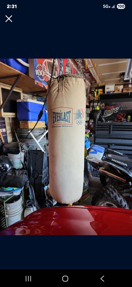 Everlasting Heavy punching bag