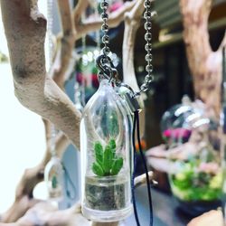 They are Back!!!!!! The mini Cactus & Succulent Key Chains/Necklaces/Cell Phone Hangers!!!!! Look how gorgeous and defiantly a conversation Piece.