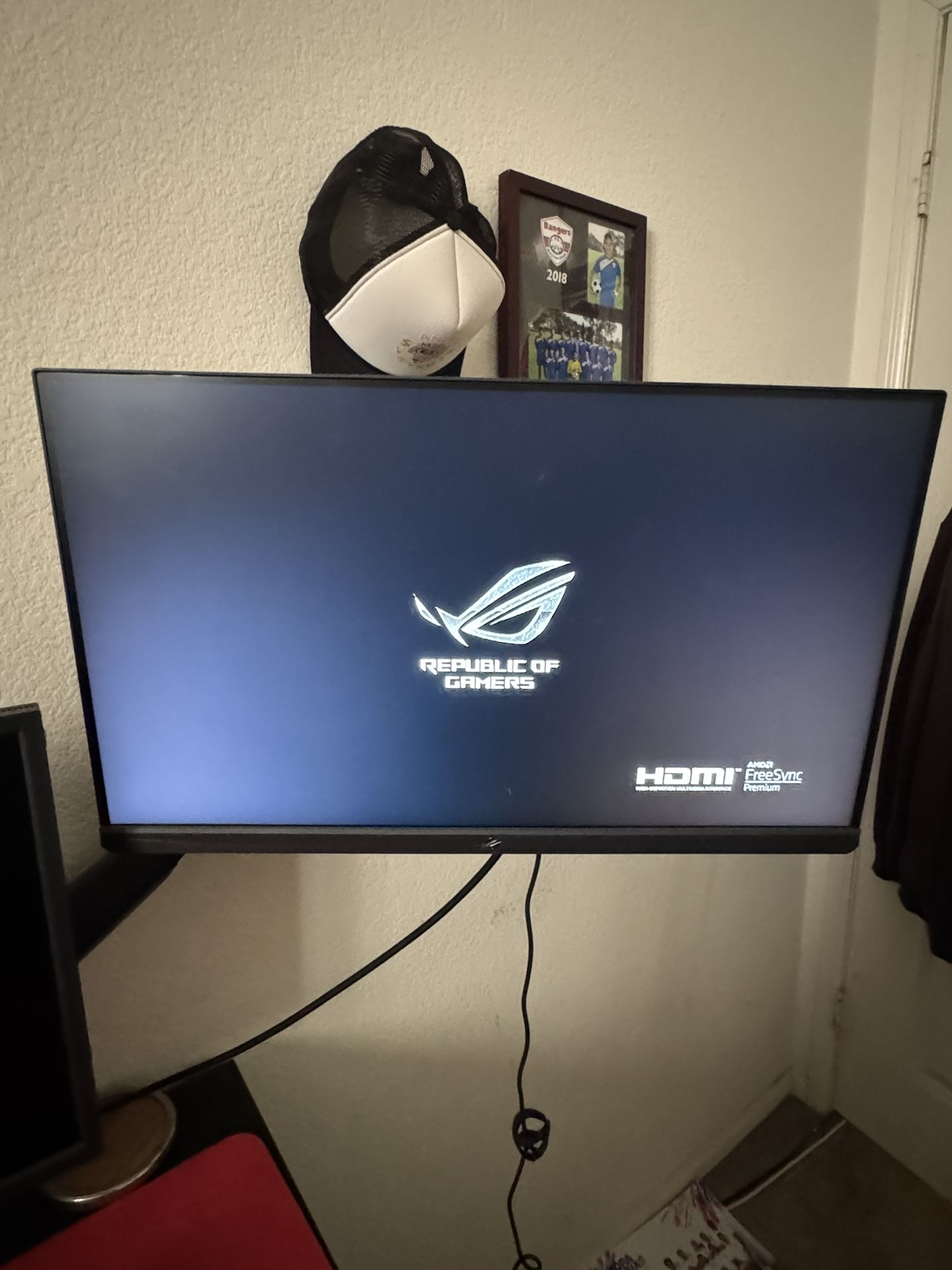 ASUS gaming monitor 240hz