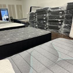 Queen Mattress Event Happening Today 