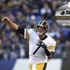 SteelerFan