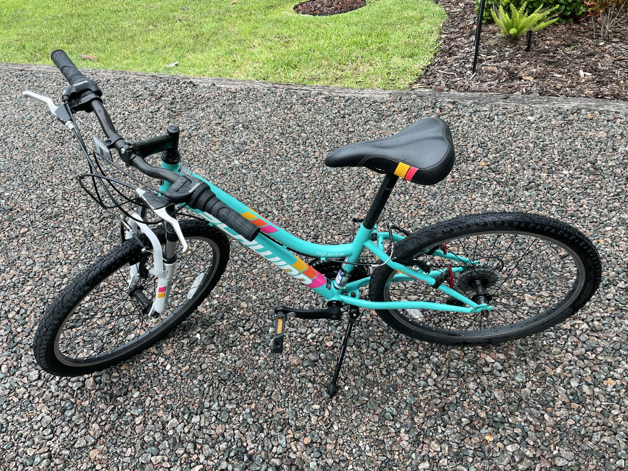 Schwinn high online timber 24 teal