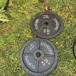 Olympic Weight Two 45 Pounds $70firm