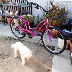 BIKE.  LADIES SCHWINN.  USED ONCE.  LARGO 7
