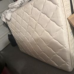 Full size Box Spring