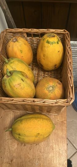Fresh Ripe Papayas
