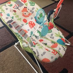 Baby Bouncer