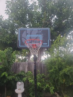 Basket Ball Hoop