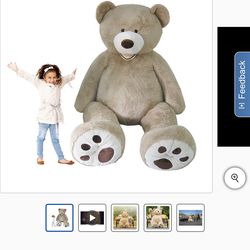 Large Costco bear