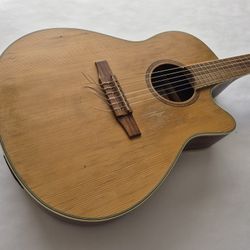 Ibanez Acoustic Guitar Nylon String