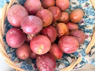 20 passion fruit for $10 passionfruit