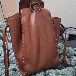 Brown Purse