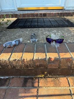 Sunglasses