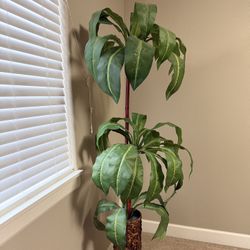 Faux Banana Silk Tree – 6ft Tall for sale! 