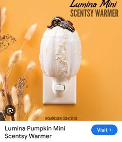 Scentsy Warmer and Cases